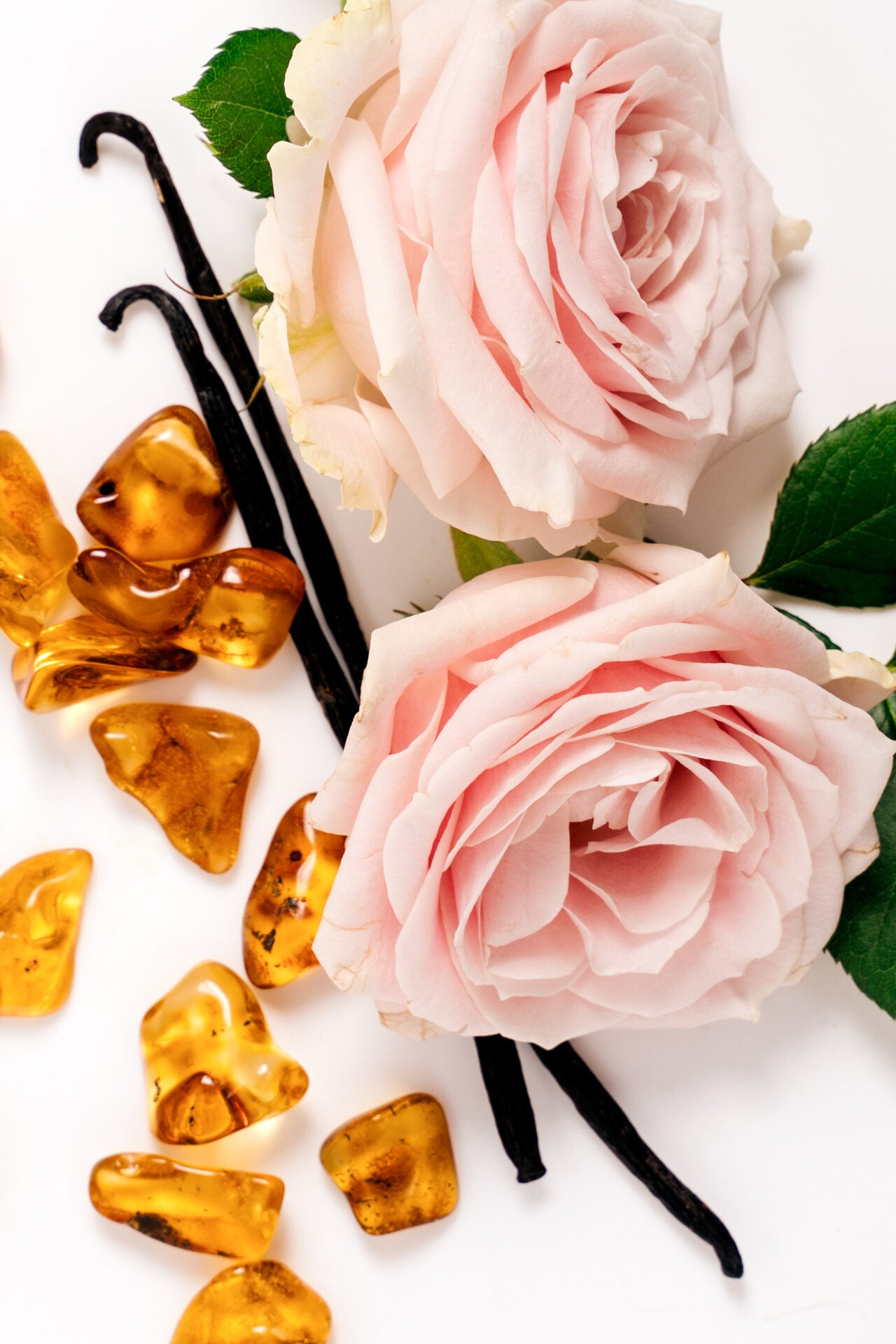 Ambre Gold