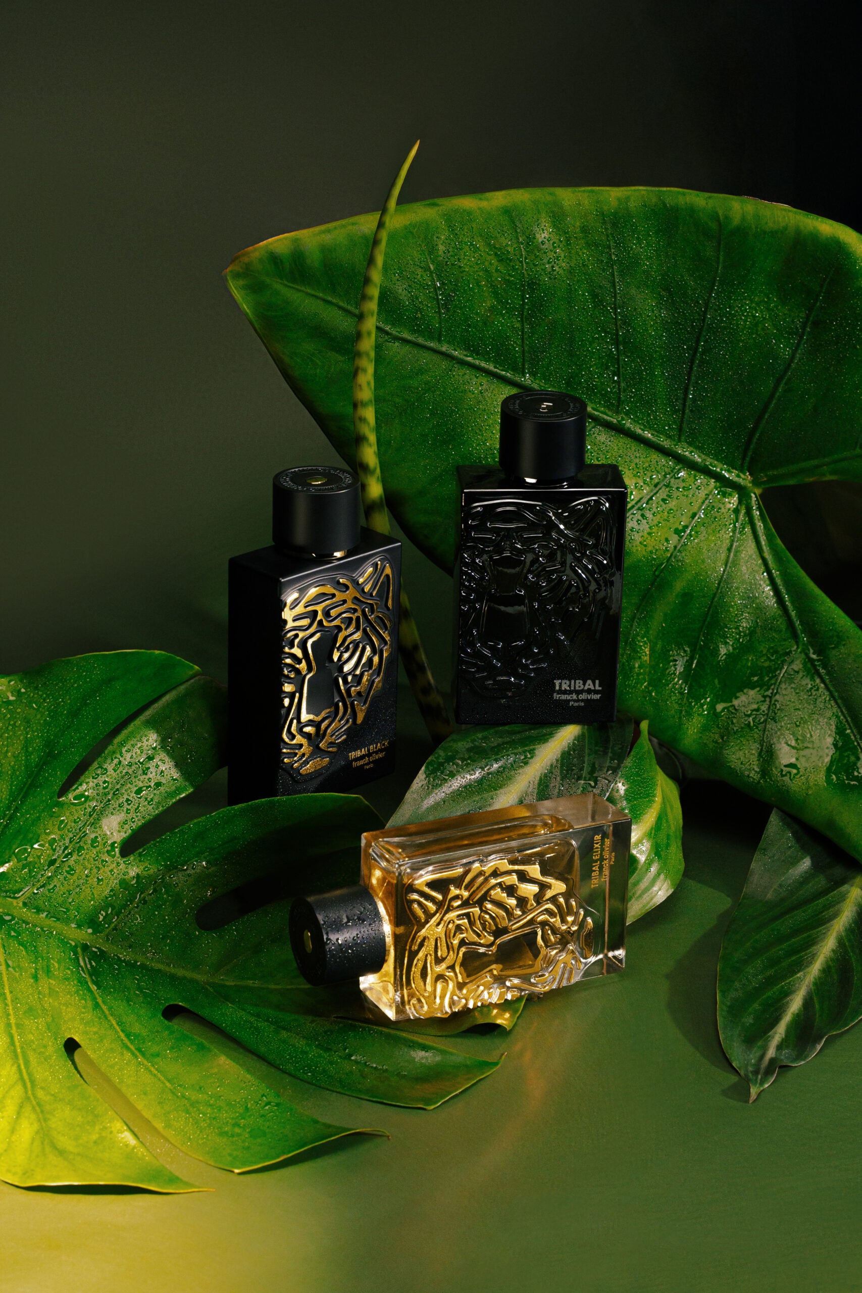 Tribal Elixir
