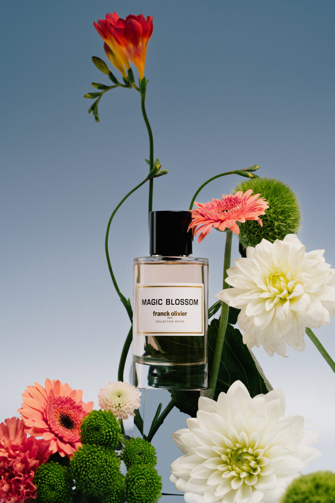 Magic Blossom