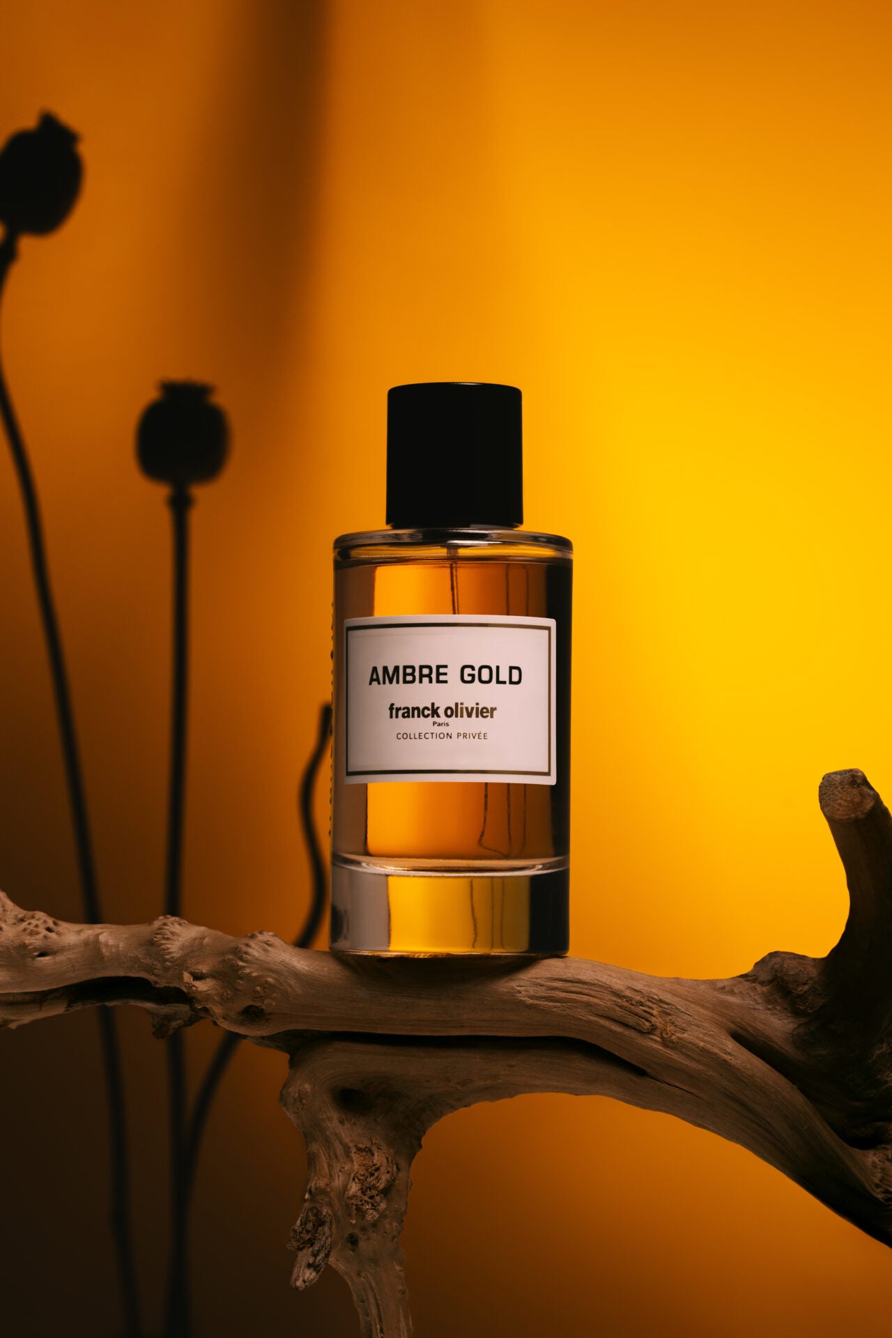Ambre Gold
