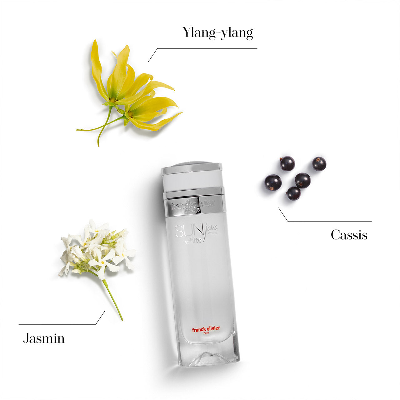 Sun Java White Women